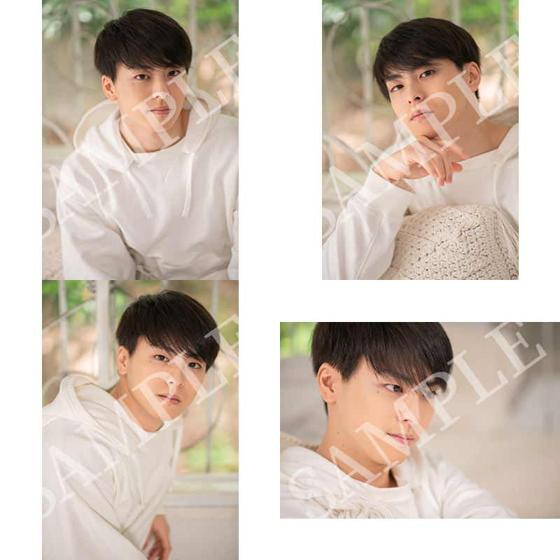 【再販売】DAILY PHOTOブロマイド 2023年11月セット
