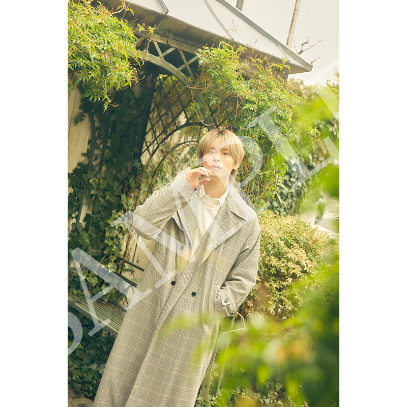 DAILY PHOTOブロマイド 「6月19日」
