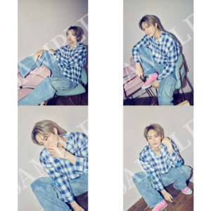 DAILY PHOTOブロマイド 11月セット