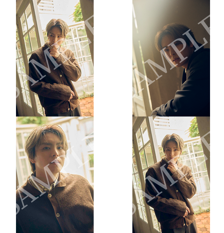 DAILY PHOTOブロマイド 2月セット